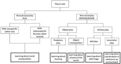 Are These Cats Playing? A Closer Look at Social Play in Cats and Proposal for a Psychobiological Approach and Standard Terminology